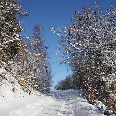 Ferienwohnung Sauerlandblick Goldhausen Экстерьер фото