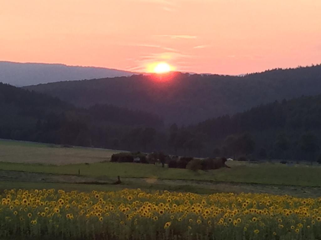 Ferienwohnung Sauerlandblick Goldhausen Экстерьер фото